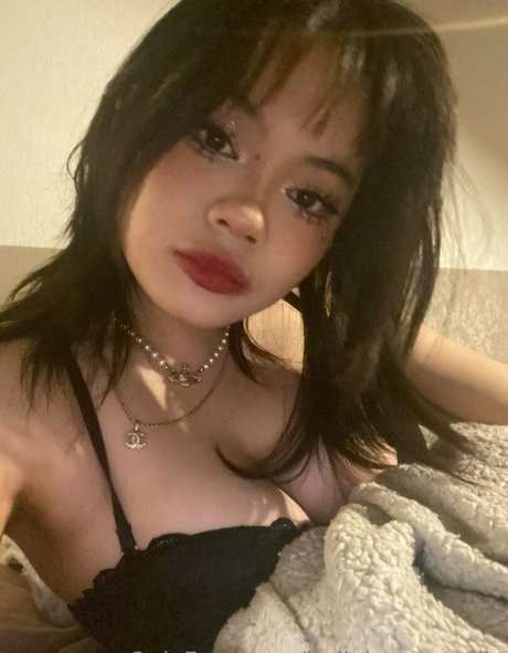 iadivinecomedie pornstar erotic archive