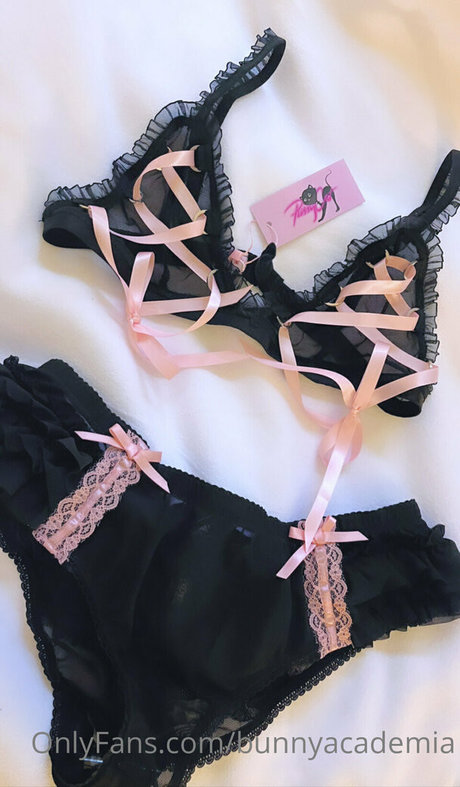 bunnyacademia star free pictures