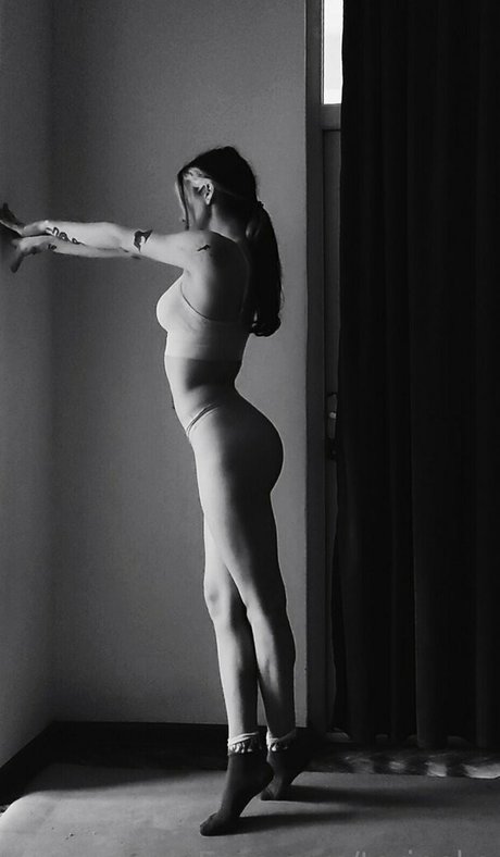 torineko star art images