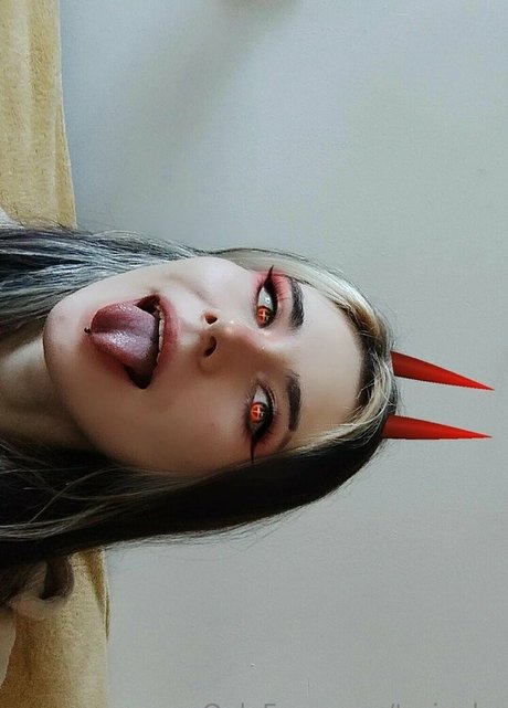 torineko star top archive