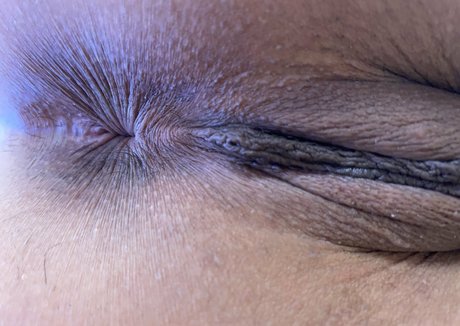 HoneyVulture pornstar sex images