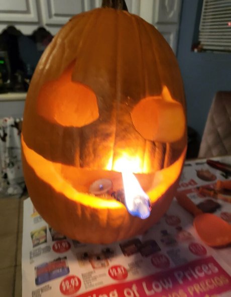 PDoctress model adult pic