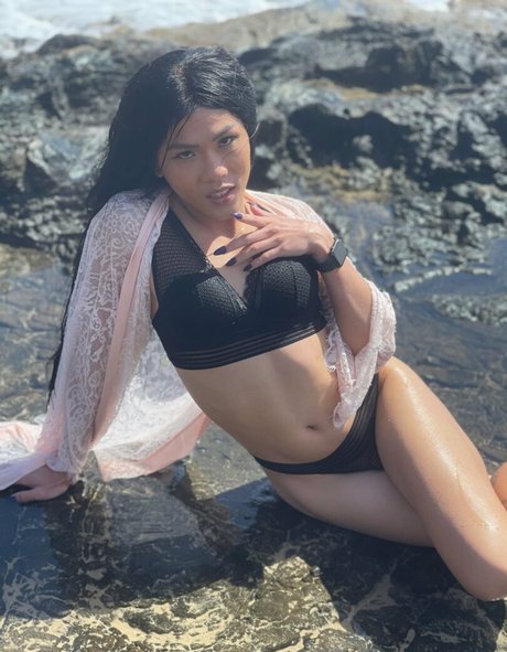 lilyuw888 beautiful star pictures