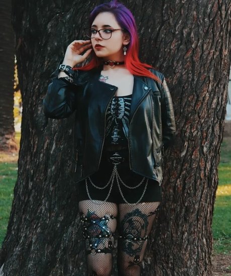 shike vc star perfect images