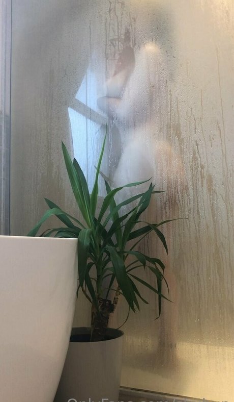 shubun star high quality gallery