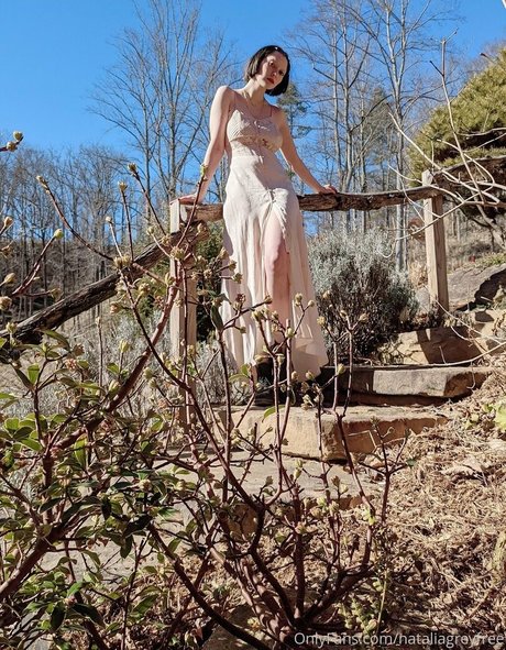 nataliagreyfree star hd pics