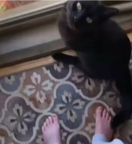 Awakeproductions star erotic pic