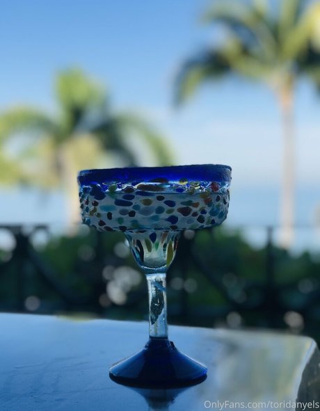 toridanyels beautiful pornstar pic