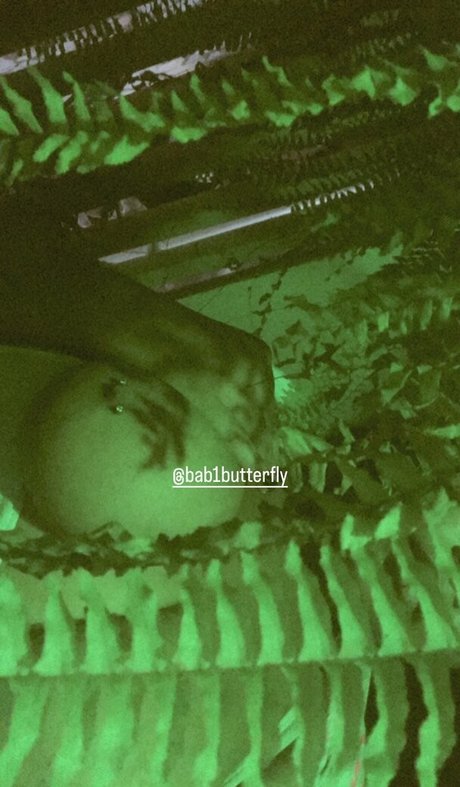 bab1butterfly pornstar nude pics
