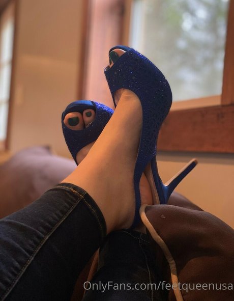 clovers photos hd model archive