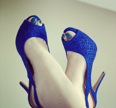 clovers photos free star archive