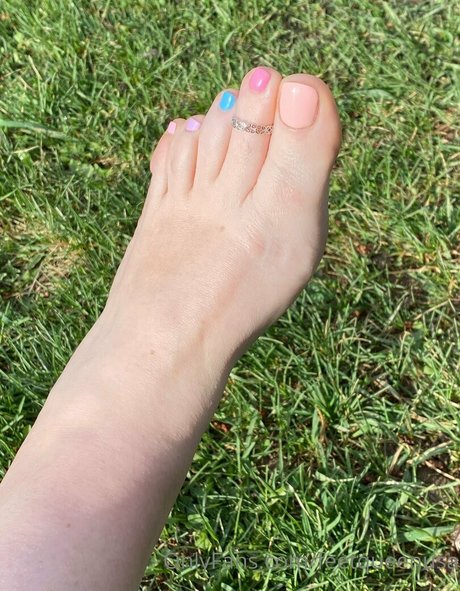 clovers photos star art archive