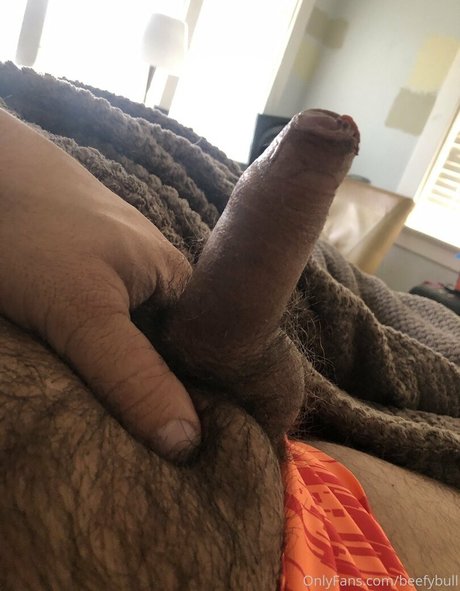 beefybull art pornstar picture