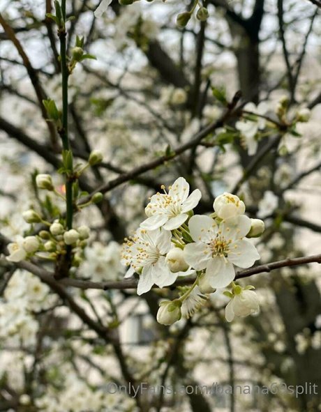 free onlyfans list sexy naked picture