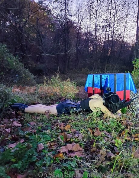 mewmewkarifree porn model gallery