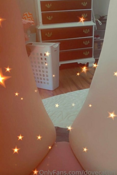 dovecattiri nice pornstar photo