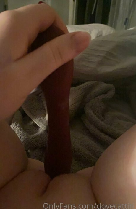 dovecattiri nudes star images