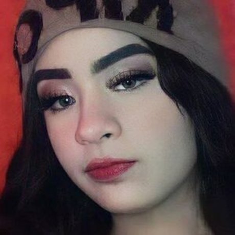 Sribeiro xs high quality model gallery