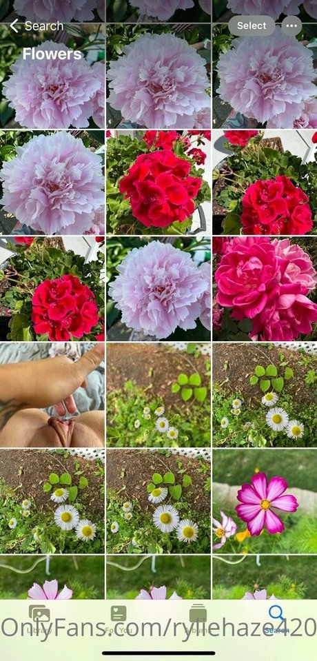 female influencer onlyfans beautiful porn pic