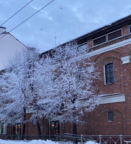 sweetmossy nude pornstar image