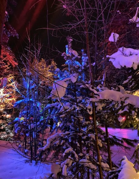 milf asshole onlyfans beautiful xxx image