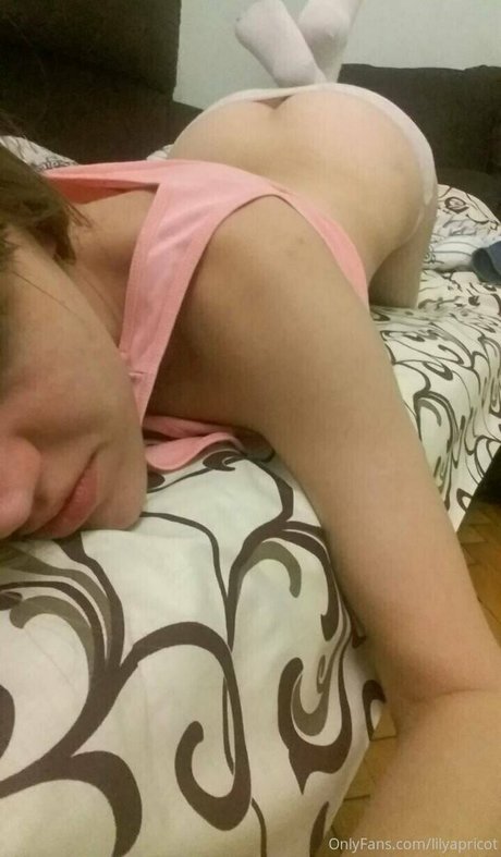 lilyapricot star gallery