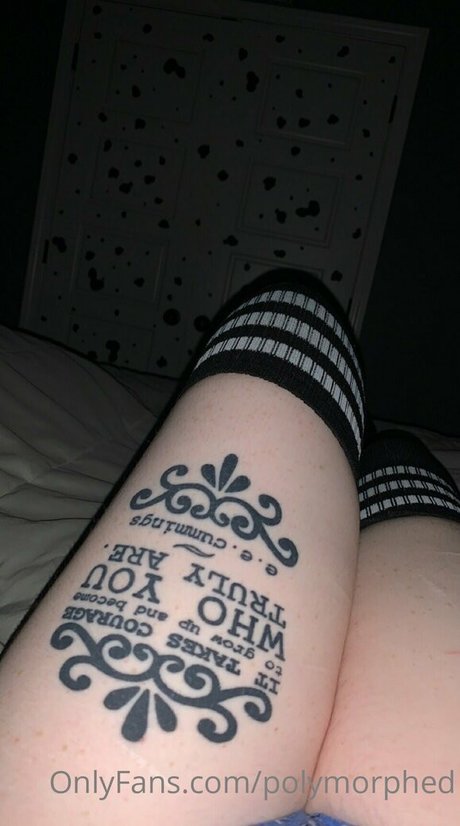 Polymorphed model art galleries