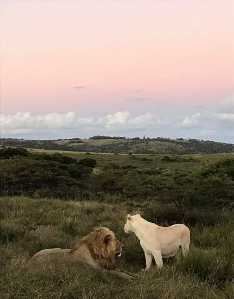 naughtyvettech pornstar hd pic