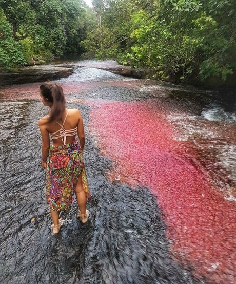 basketball onlyfans xxx picture