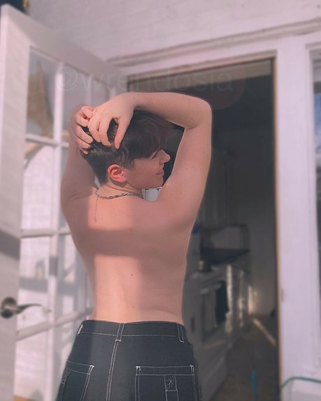 Wrendosia hd model archive