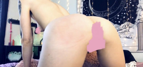 lexiveefree star beautiful gallery