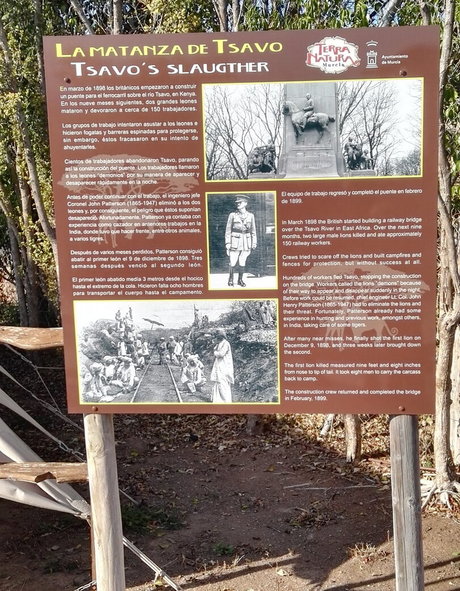 yoga onlyfans free gallery