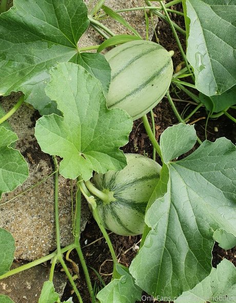 cum on glasses onlyfans beautiful naked pictures