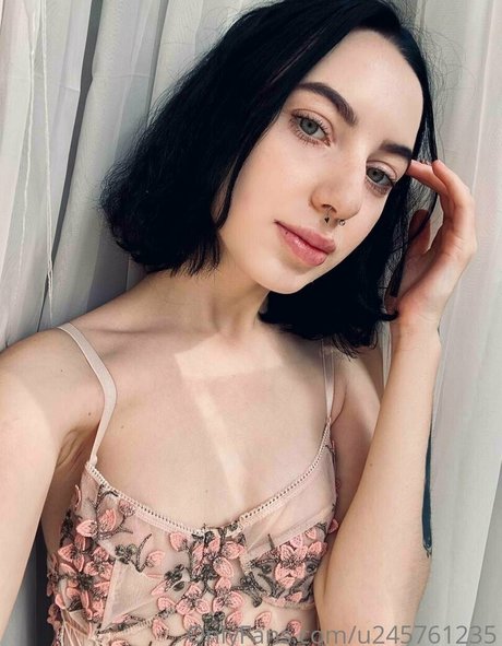 alicewonderfull star art image