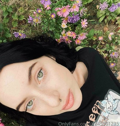 alicewonderfull nudes star galleries