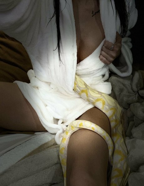 cherokee87 star free picture