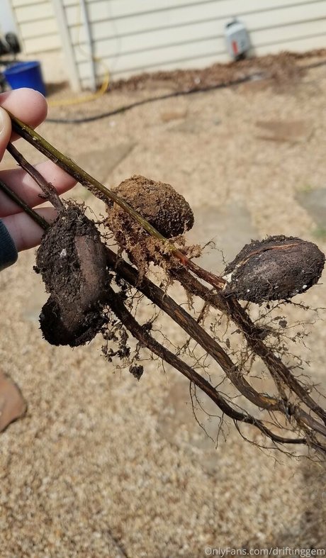 driftinggem beautiful actress pic