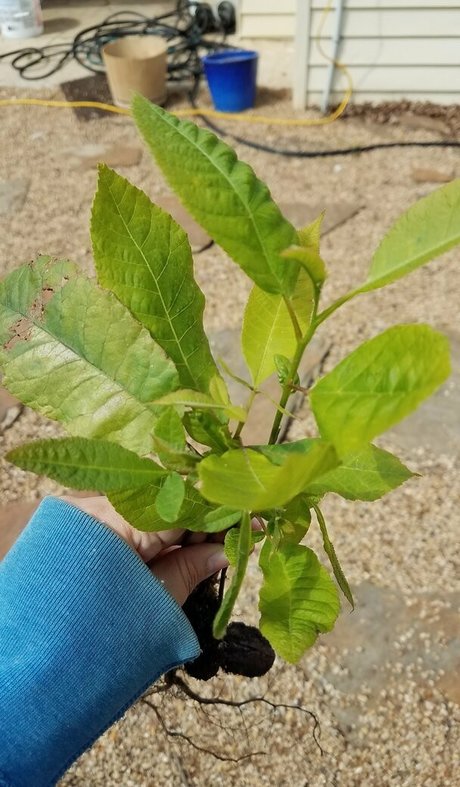 driftinggem pornstar nudes photos