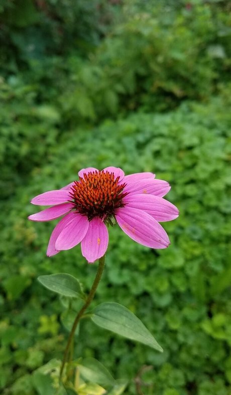 driftinggem nice model photo