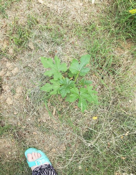 veronikaplants model free gallery