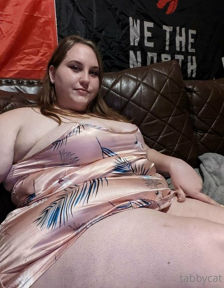 tabby cat95 pretty star pics