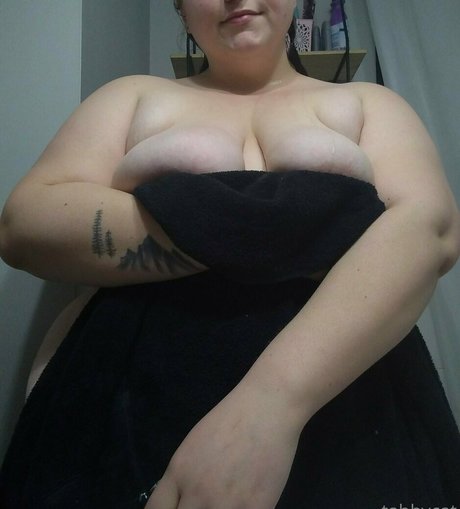 tabby cat95 star art archive