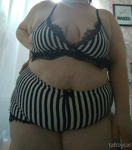 tabby cat95 model high quality pictures