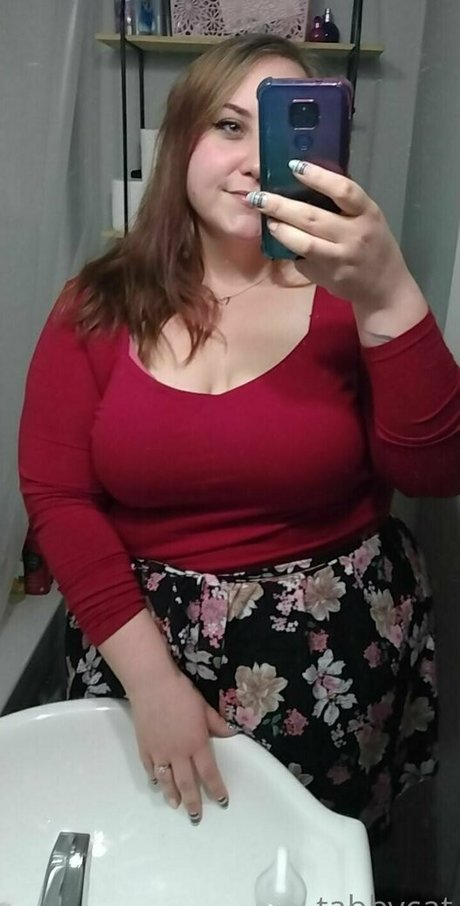 tabby cat95 star free photo