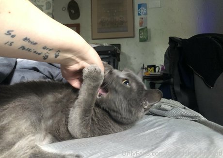 couldshouldwood pornstar perfect pic