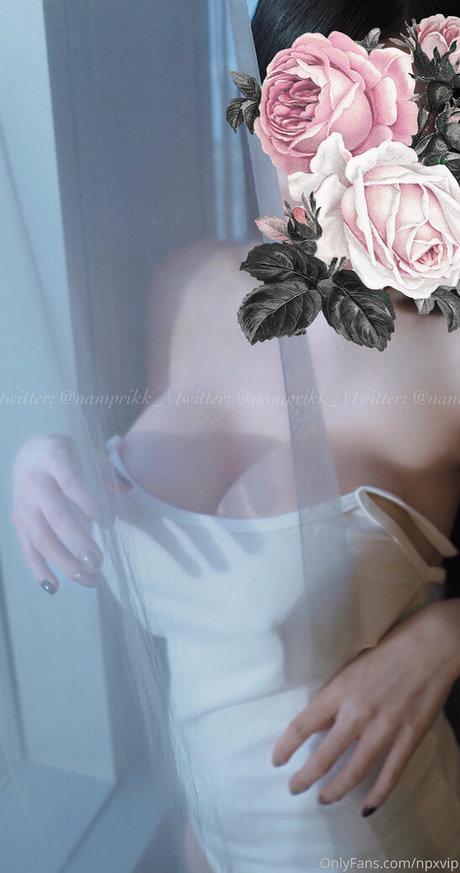 Npxvip pornstar nice photos