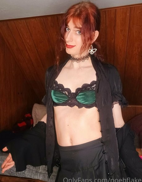 noehflake nice star gallery