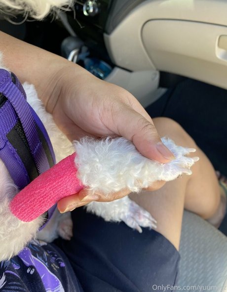 yuumii z naked actress pictures