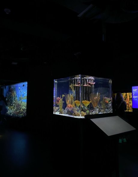 skinny shemale onlyfans naked pic