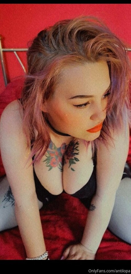 antilopa Quick model image